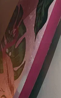 پدل برد