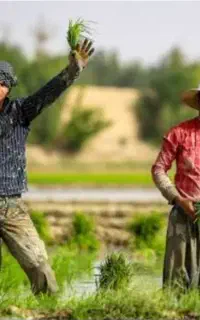 نشا کاری با اکیپ جوان و کار بلد