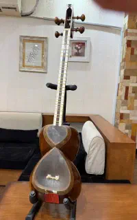 تار حرفه ای