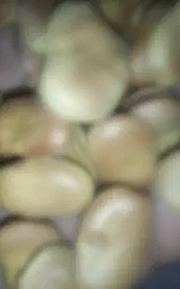 ۴۰ کیلو باقلا