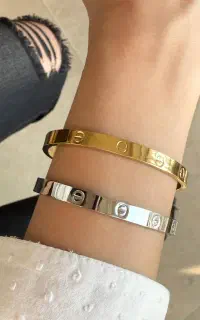 بدلیجات