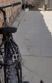 دوچرخه