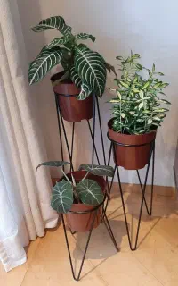استند گلدان