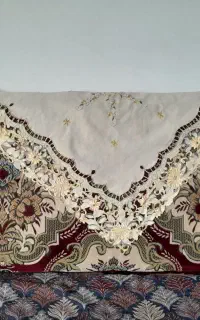دوتا پشتی نو