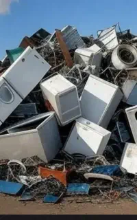 ظایعات