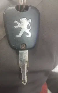 پیداشده