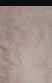 موکت  حدودا  50متر عرض 3