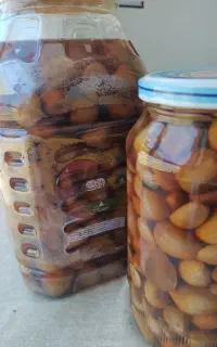 سیر ترشی