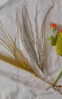 شاخه گل