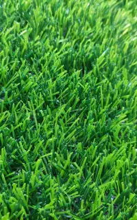 فروش و اجرای محصولات دکوراسیون داخلی