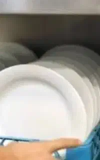 استخدام فوری سالندار