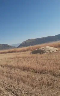 فروش ۱۴ انبار کاه گندم