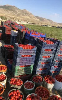 تناژ۲برابر و کیفیت بالا می‌خوای شمارتو بزار
