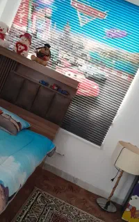 پرده زبرا طرح دار