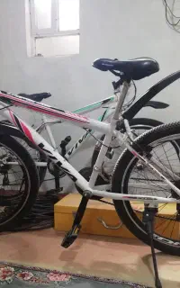 دوچرخه ۲۶ ویوا