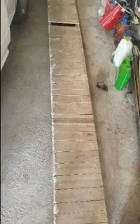 تخته بنایی