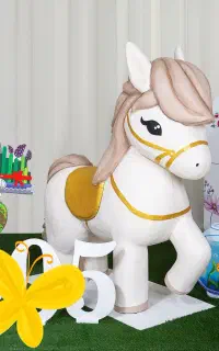 عکاسی با دکور ویژه نوروز ۱۴۰۵