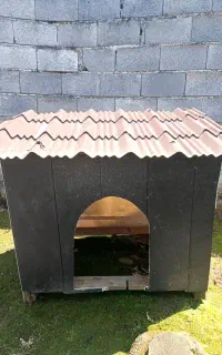 لانه سگ تمیز