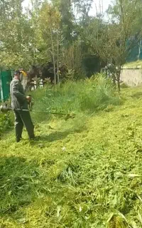 انجام امور باغبانی