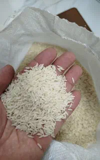 برنج هاشمی درجه ۱