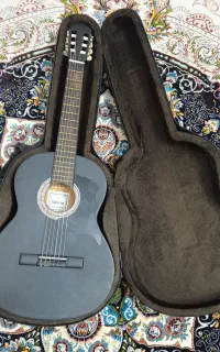 گیتار فروشی