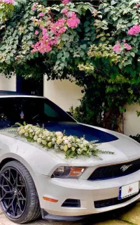اجاره ماشین عروس فورد موستانگ کروک