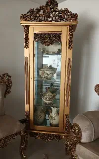 ویترین سالم