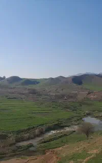 سیم کارت دائمی