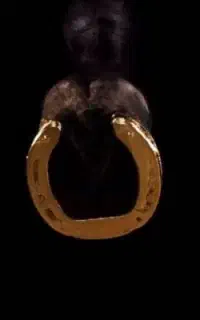 اسب