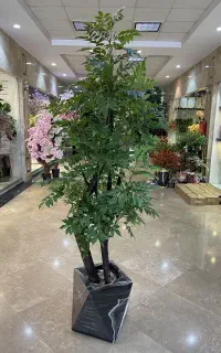 انواع گل و درختچه چرمی