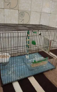 قفس بزرگ پرنده