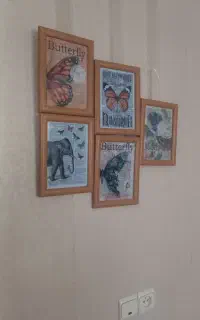 ۵تا قاب باهم
