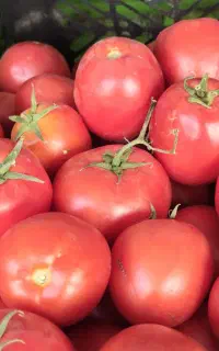 استخدام کارگر میوه فروشی