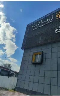اتو کار