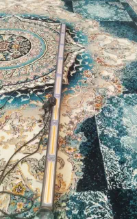 فدرال ۸ کانال ۱۶ حالته نو نو