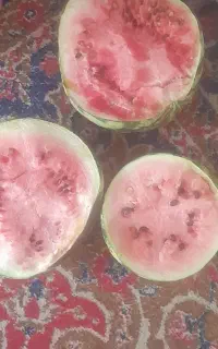 هندونه و خربزه گاوی و گوسفندی