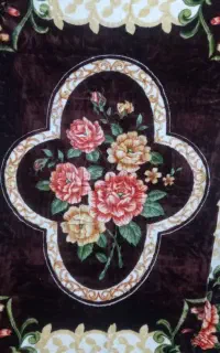پتودونفره