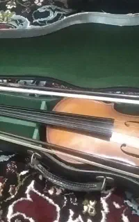 ویالون 3/4 تی اف