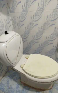 توالت فرنگی سالم قابل استفاده