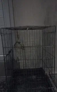 قفس پرنده
