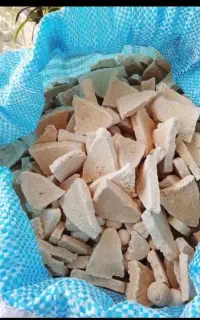 کشک گوسفندی