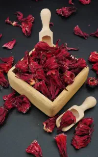 فروشنده ی خانم در عطاری