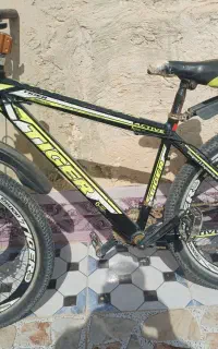 دوچرخه