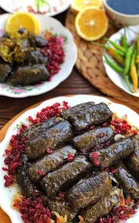 غذای خانگی تازه تهیه غذا برای کارخانه ها،منازل و..