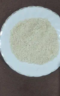 برنج هاشمی