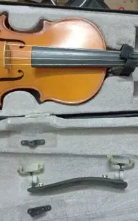 ویولن