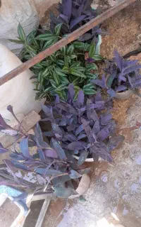 نبود جا