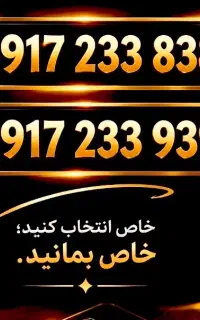 0917.233.83.83
