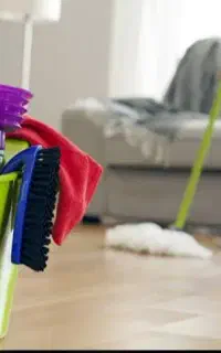 شرکت نظافتی دسته گل(خانه و ساختمان و حیاط...