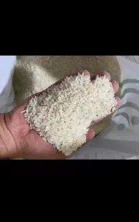 برنج تایلندی/ پاکستانی ( عمده خرده)